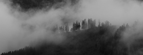 Peeking through | by Justsha2
