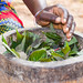Forests, food security and nutrition in Luwingu