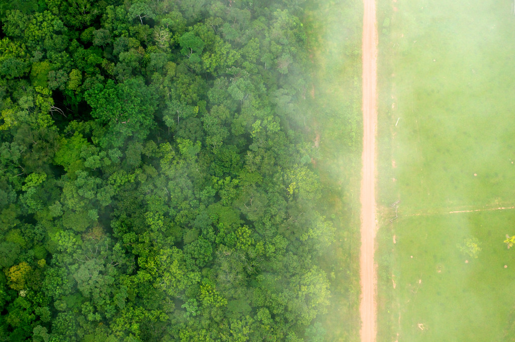 A bird's eye view of the stark contrast between the forest and agricultural landscapes near Rio Branco, Acre, Brazil.