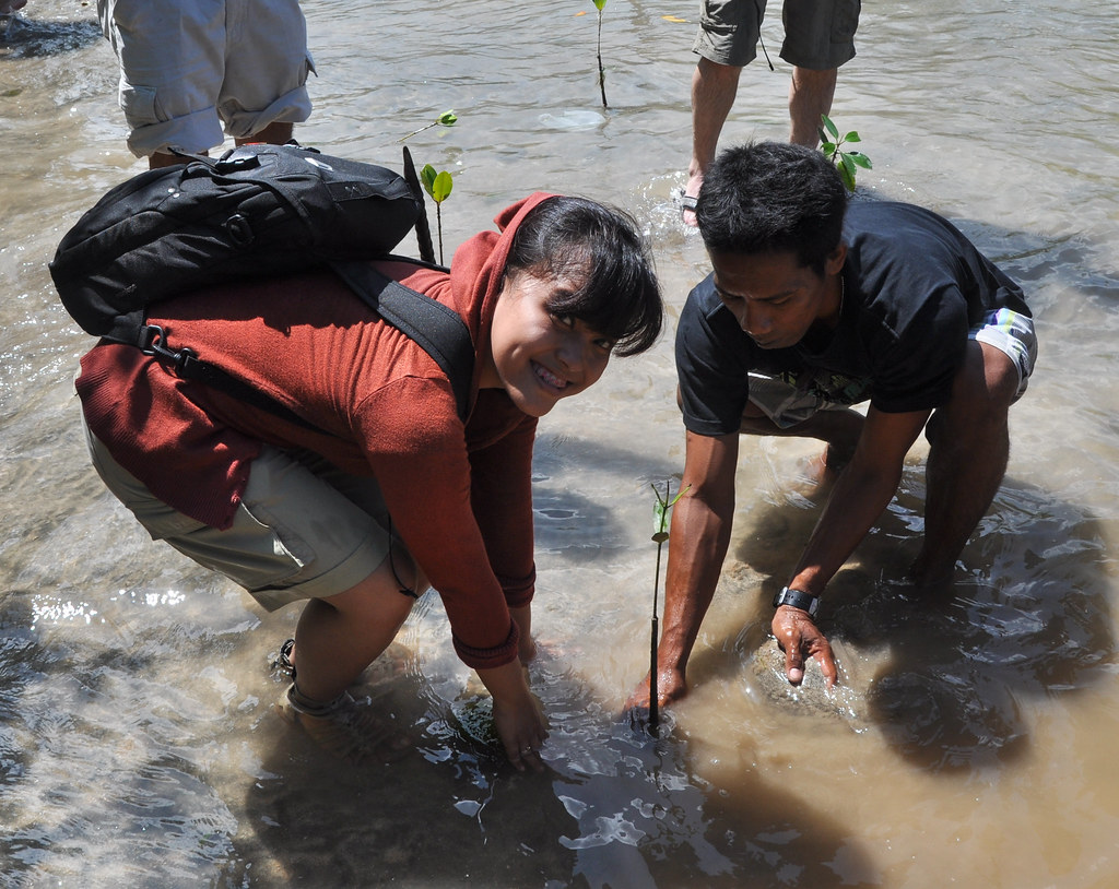 As part of the workshop, journalists visited the mangrove restoration projects on Nusa Lembongan, off Bali, Indonesia, April 9-11, 2011.