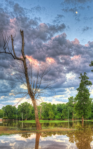 old sunset moon tree clouds reflections dead flooding louisiana lone redriver hdr isolated shreveport sonya7r