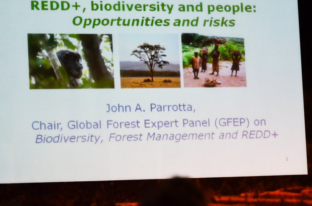 Forest Day 6 conference in Doha, Qatar.