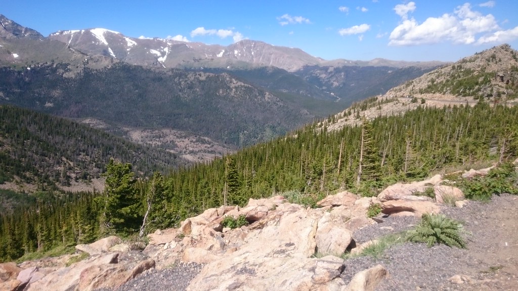 Van Bibber Creek Trail