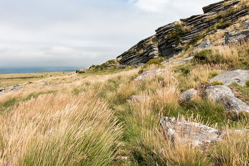 belstone tor rock hill dartmoor nationalpark grass landscape moorland outdoor devon