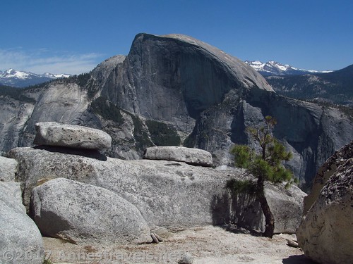 Half Dome from North Dome, Yosemite National Park, California