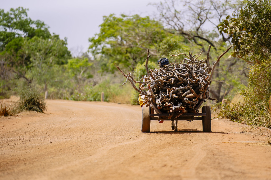 A woman drives a cart of firewood back to Zorro village, Burkina Faso. for Center for International Forestry Research (CIFOR).