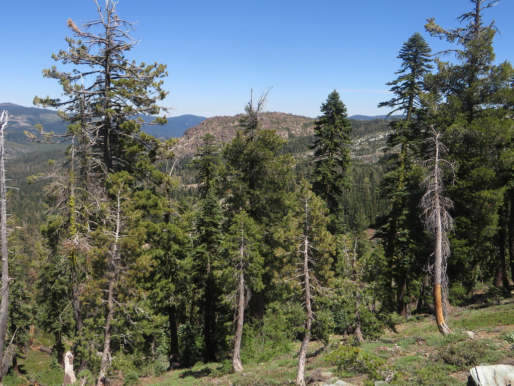Gold Valley Rim Trail Connector