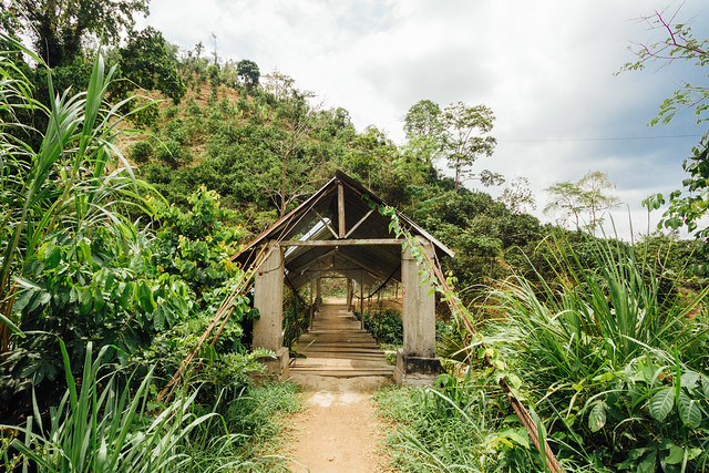 Rural Bridge, Colombia