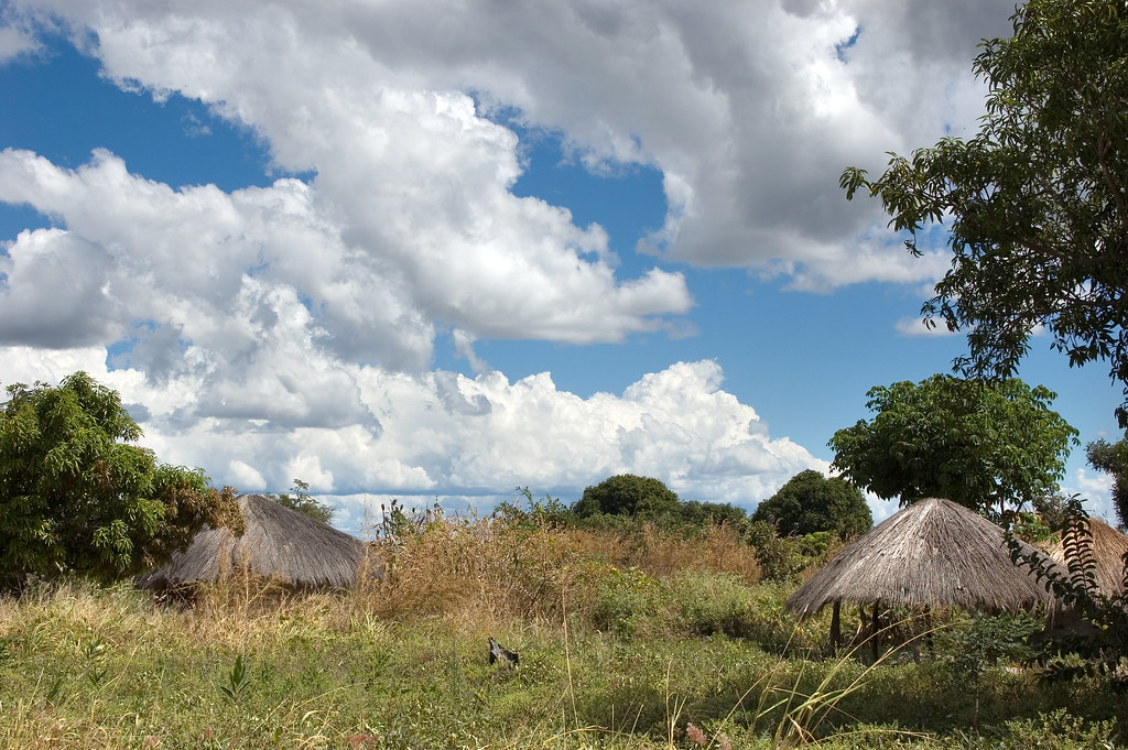 Chungulo village, Chinsali District, northern Zambia, a site of Center for International Forestry Research (CIFOR's) biofuel research, Zambia.