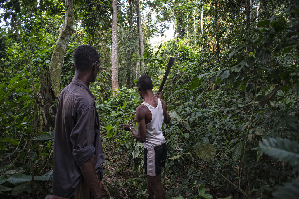 Hunters, Zorro Ndeli and Tamanga Ekwayoli in the Tumba – Ledima Reserve, Democratic Republic of Congo.