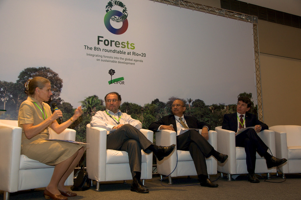 Forests: The 8th Roundtable at Rio+20 discussed new research findings – and remaining knowledge gaps – and their policy implications...