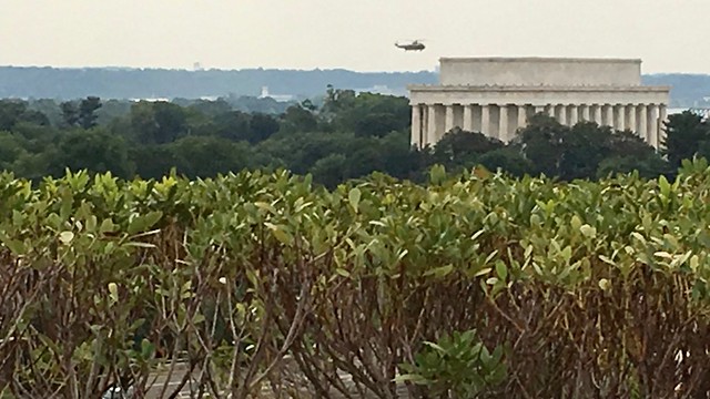 Lincoln Memorial from Terrace