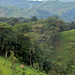 Landscape of Uganda