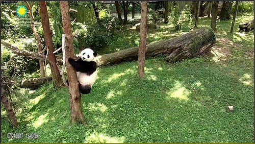 I'll stop right here and pose so you can take my picture. | by helenwoo555