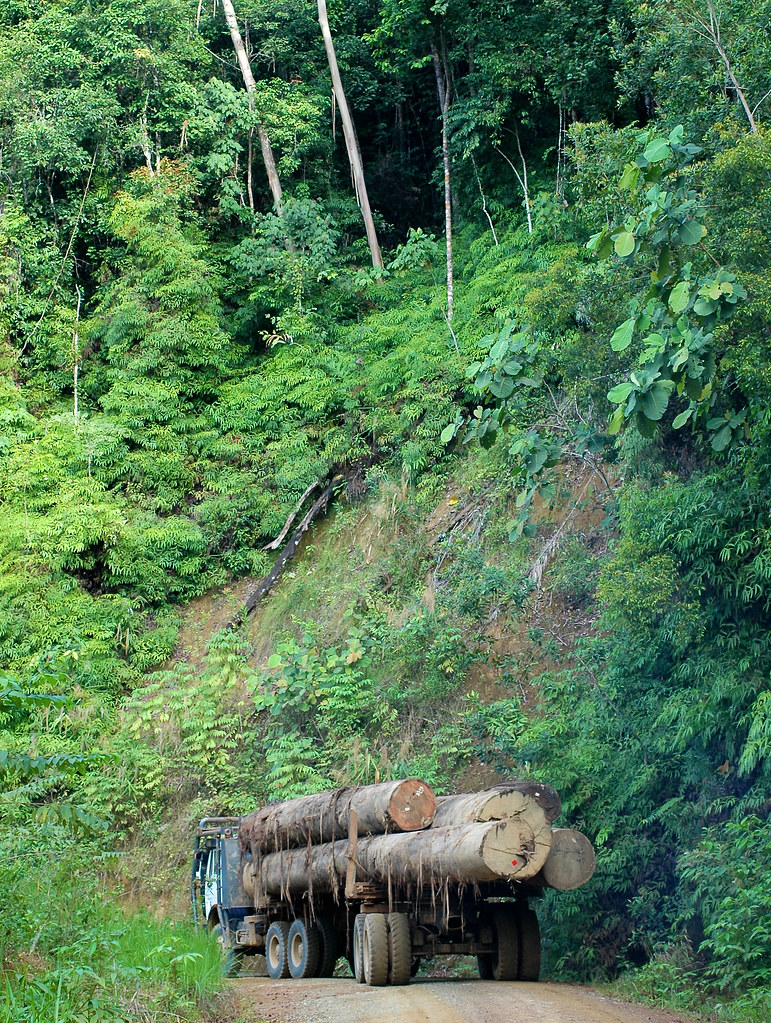 A truck transporting logs in Gunung Lumut, East Kalimantan, Indonesia.