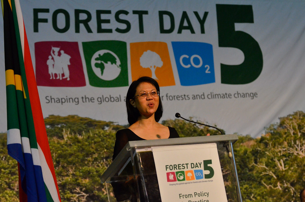 Tina Joemat-Pettersson, Minister of Agriculture, Forestry and Fisheries. Closing plenary, Forest Day 5, Durban, South Africa, December 4, 2011