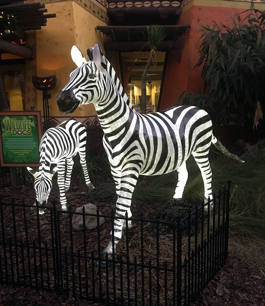Tampa - Busch Gardens - Christmas Town - Zebra | Jared | Flickr
