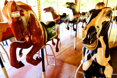 _MG_1889 | Ovid Hazen Wells Carousel 2017. Photo by Marilyn … | Flickr
