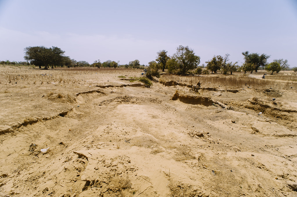 Soil erosion due to heavy rains, sindri village, Burkina Faso.