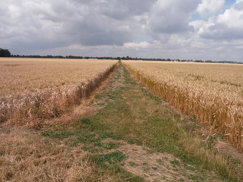 Usually well-cleared path through arable fields SWC Walk 233 - Arlesey to Letchworth Garden City