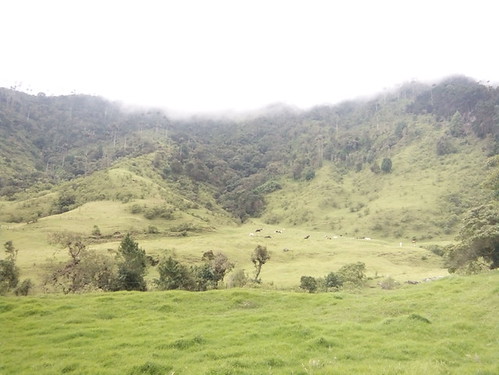 survivetravel travel hiking valledecocora salento quindio colombia view