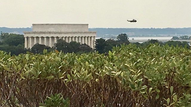 Lincoln Memorial from Terrace