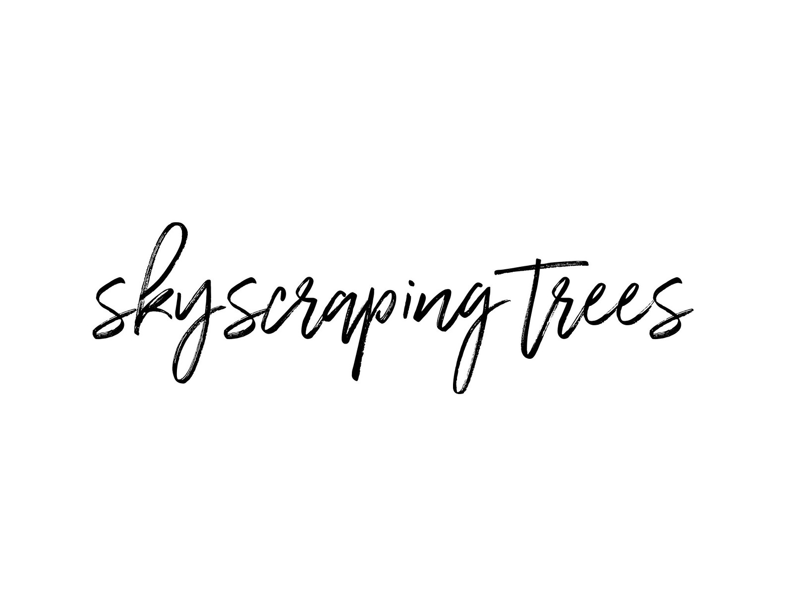 skyscraping trees