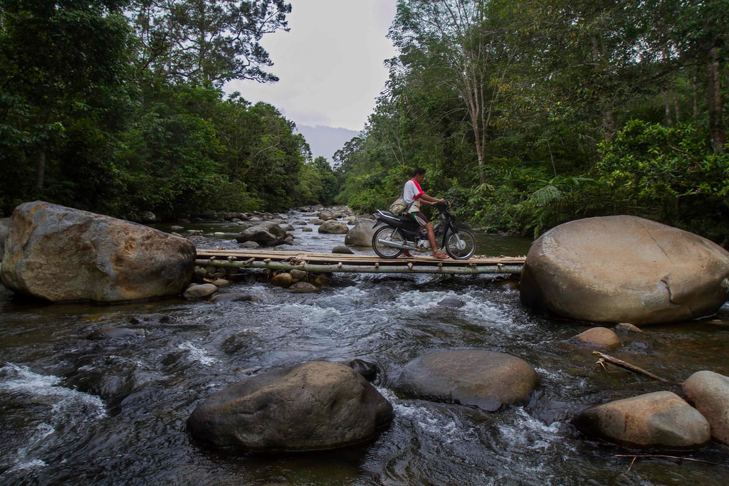 A villager crosses a bridge from a rubber forest at Batang Buat river, in Lubuk Beringin village, Bungo district, Jambi...