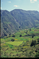 1995-04-08_1355_Peru-748