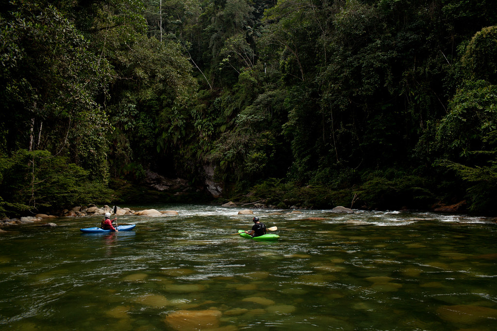 Kayaking on the Jondachi River one of the last pristine rivers, Ecuador.