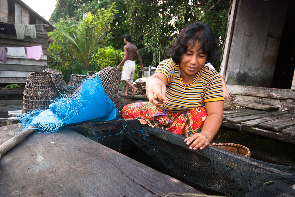 A woman of Pengerak village feeds Toman fish in a fish cage. Culturing Toman fish is one way to fulfill...