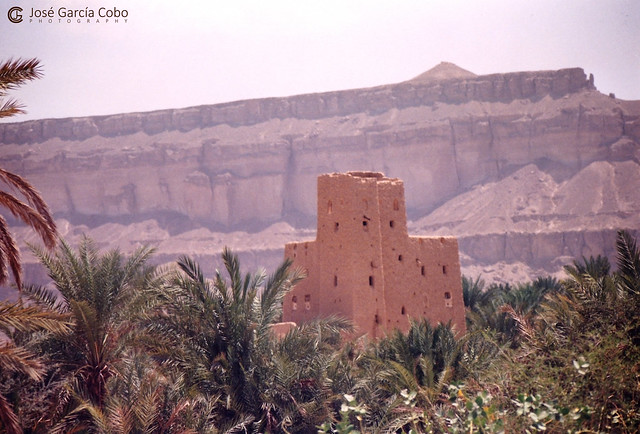 199909 Yemen Hadramaut (95)