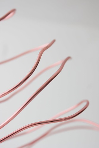 rose metal | by sarahjowhar