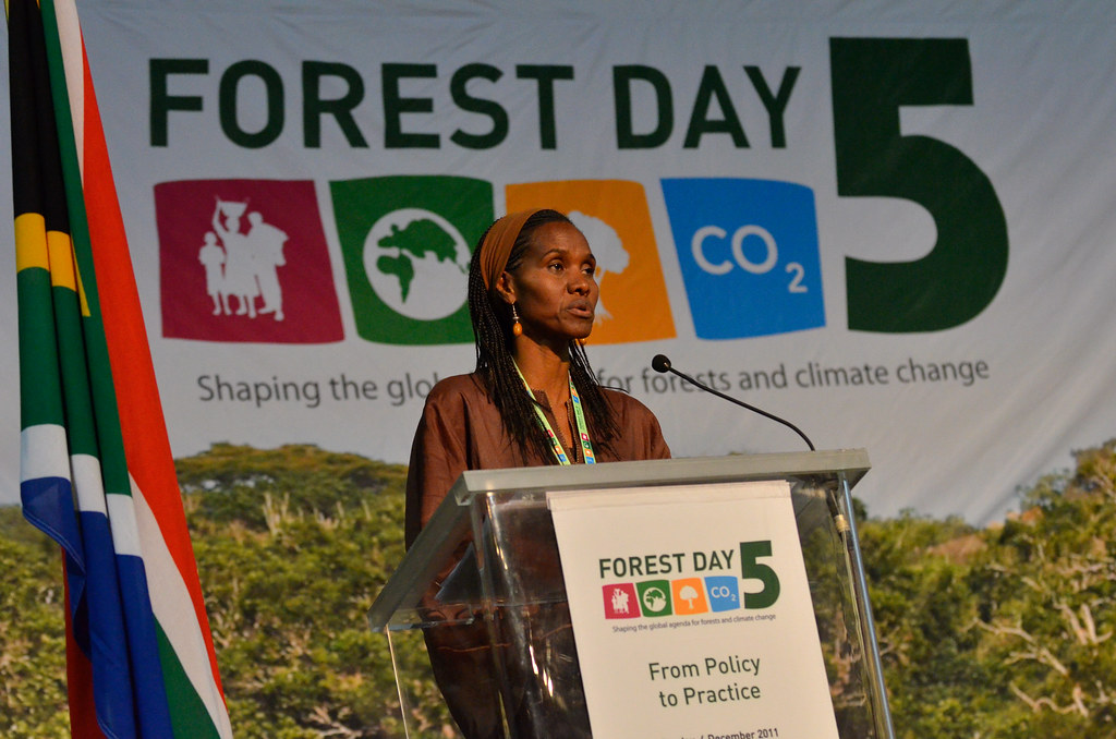 Helen Gichohi, President, African Wildlife Foundation. Opening plenary, Forest Day 5, Durban, South Africa, December 4, 2011.