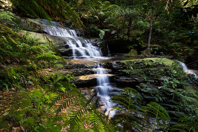 Valley of the Waters || Wentworth Falls