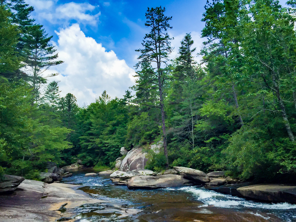 Wilkie Trail, near Nature Preserve Stewards – Location TBD