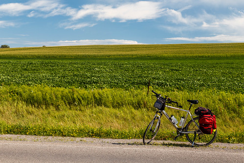 Napanee Valley Fields by Cam Salsbury, field bicycle