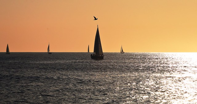 Sailing & flying - Tel-Aviv beach