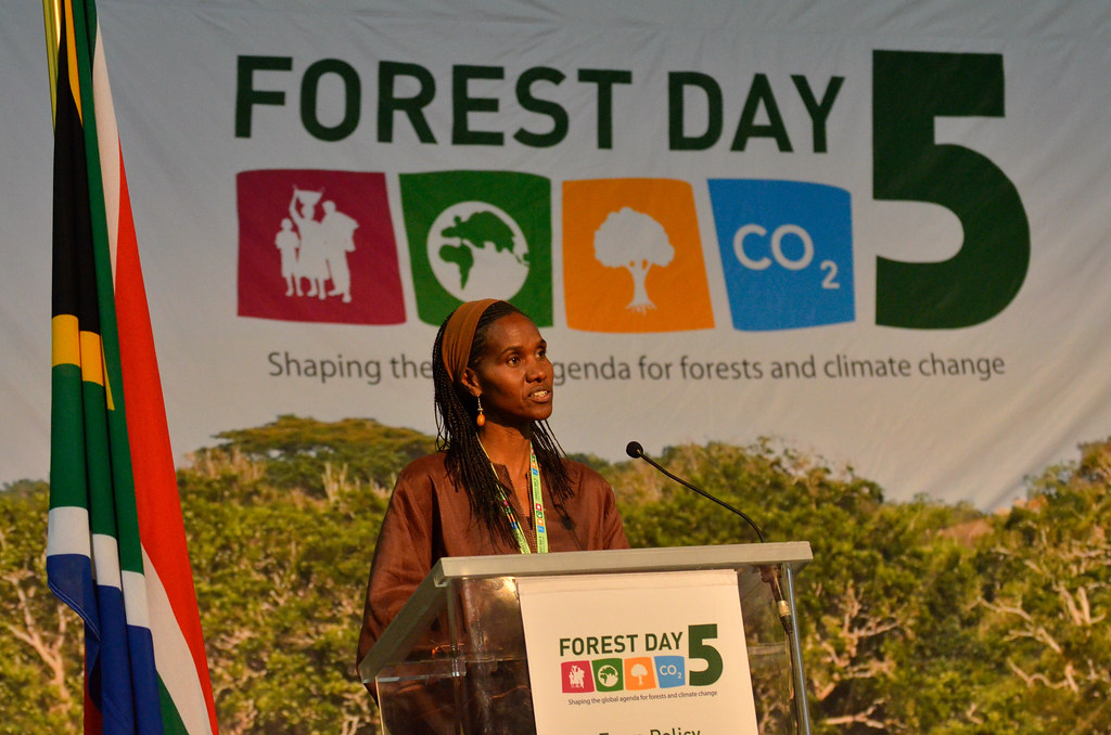 Helen Gichohi, President, African Wildlife Foundation Opening Plenary, Forest Day 5, Durban, South Africa, December 4, 2011.