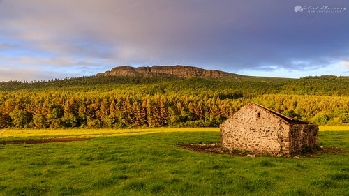 binevenagh binevenaghmountain benevenagh benevenaghmountain goldenhour sunset sunlight sunsetting sunlit sidelight oldcowshed building warmlight evening clouds cloudysky cloudy trees forestry derelictbuilding dereliction myroe swannsbridge limavdy northernireland ulster agriculture canon canon5dmkiii canonef24105mmf4lisusm