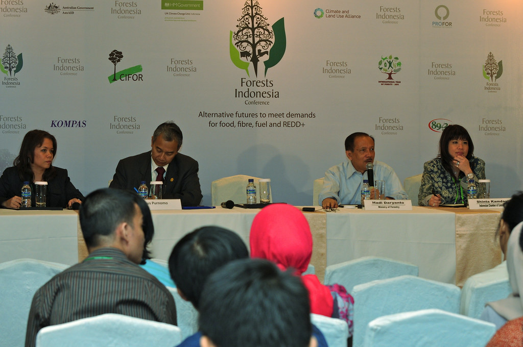 Subplenary session: REDD+ in the transition to a low-carbon future at the Forest Indonesia conference in Jakarta, Indonesia.