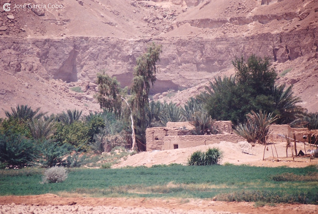 199909 Yemen Hadramaut (76)