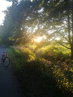 Sonnenuntergang an der Rodau mit Fahrrad