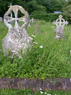 Pushing up the daisies in Luddesdown churchyard 