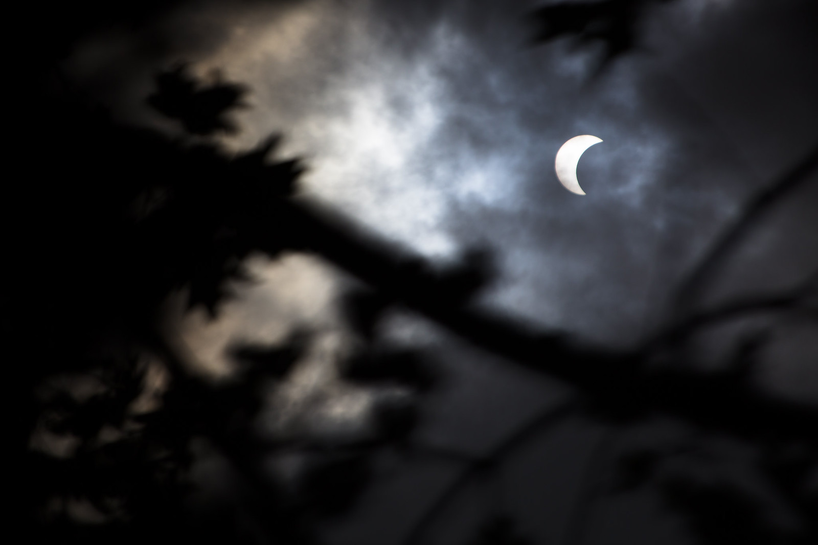 2017 Eclipse | Flickr