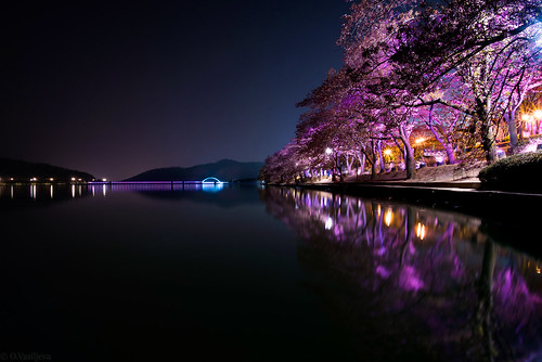 lake water night korea asia nature landscape travel lights