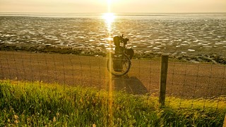 Cycling at sunset in Friesland