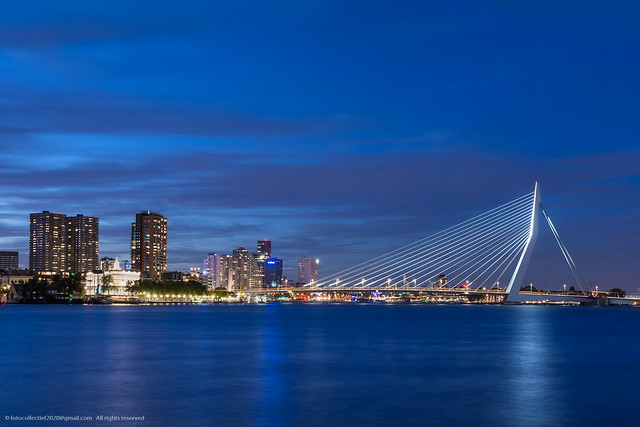 Erasmus bridge Rotterdam at blue hour