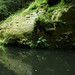 Řeka Kamenice, Edmundova soutěska, foto: Petr Nejedlý