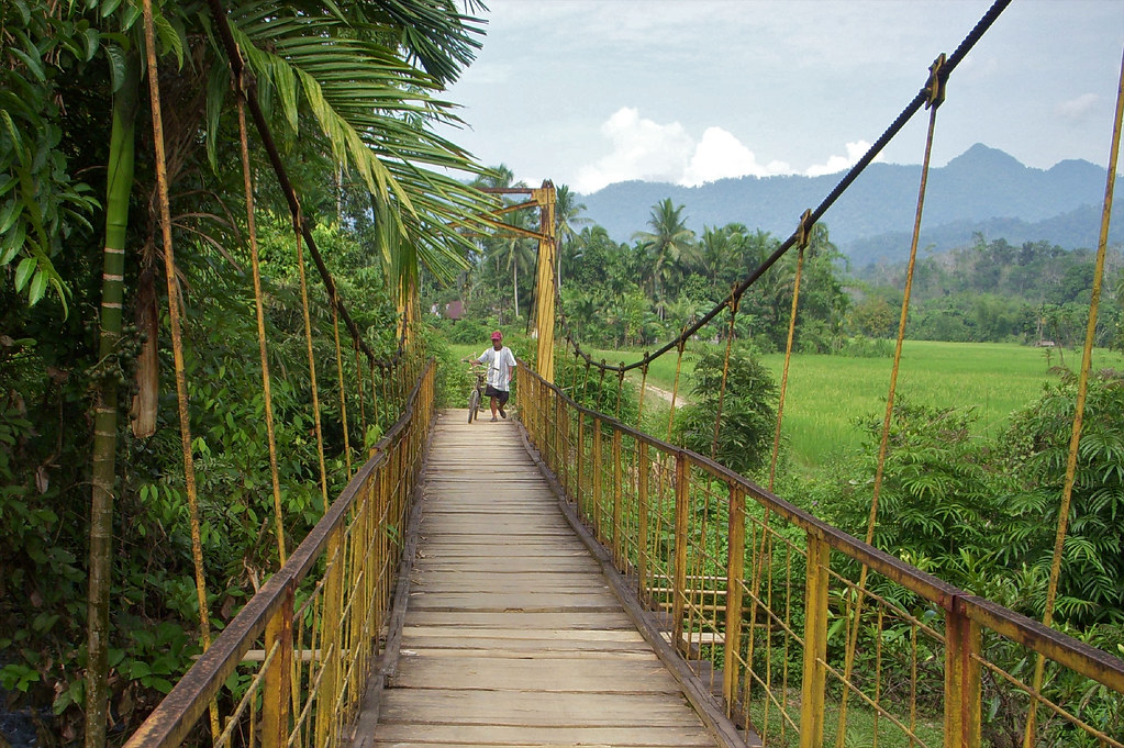 Landscape of Jambi, Indonesia, June, 2008.